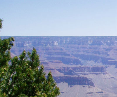 0111072d008.jpg