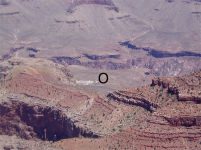 0111072d019.jpg