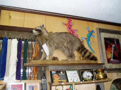 0111072d022.jpg
