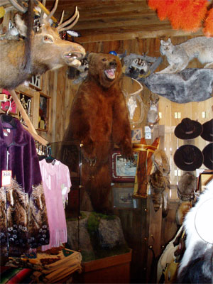 0111072d023.jpg