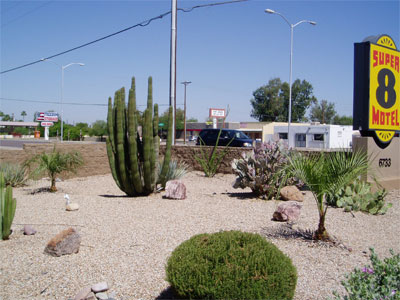 0111072d032.jpg