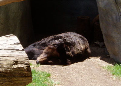09.jpg